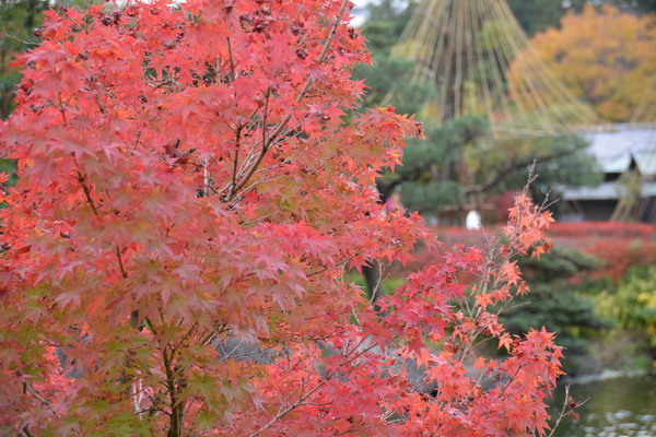 f:id:gzutetsu:20151129124247j:image