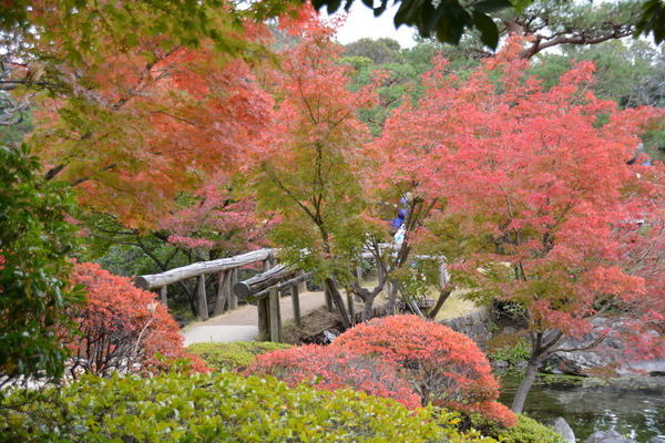 f:id:gzutetsu:20151129124403j:image