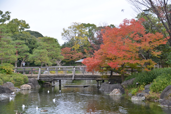 f:id:gzutetsu:20151129124549j:image
