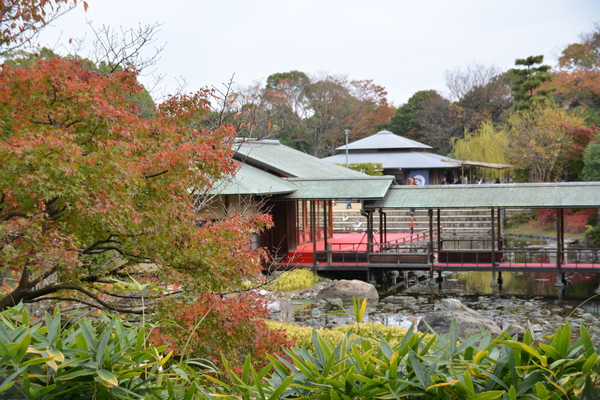 f:id:gzutetsu:20151129125909j:image