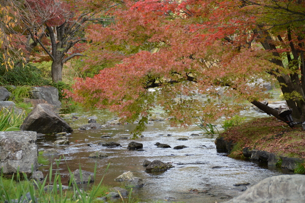f:id:gzutetsu:20151129130257j:image