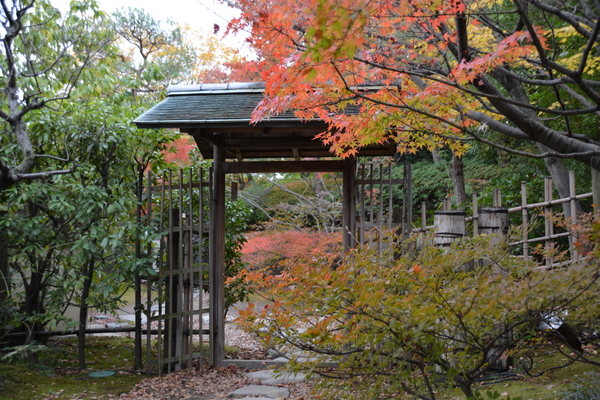 f:id:gzutetsu:20151129134105j:image