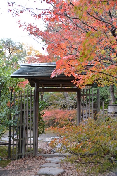 f:id:gzutetsu:20151129134110j:image