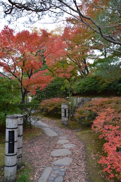 f:id:gzutetsu:20151129135152j:image