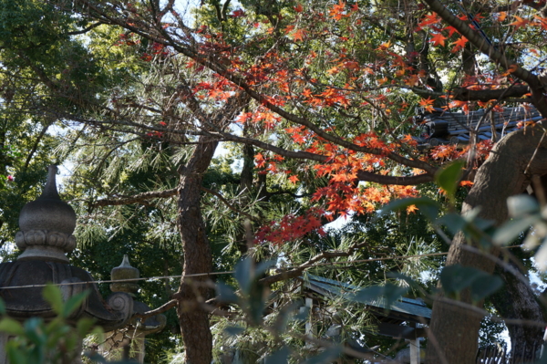 f:id:gzutetsu:20160101115106j:image
