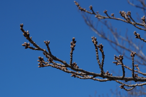 f:id:gzutetsu:20160101123737j:image