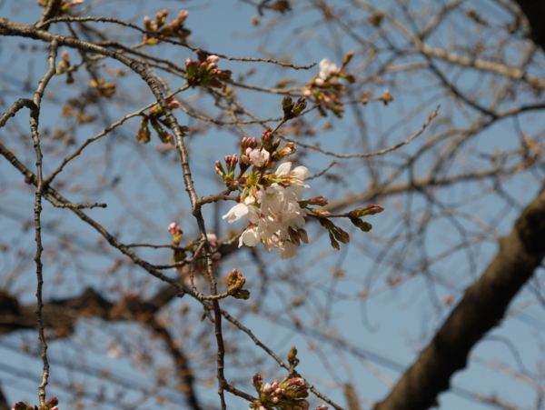 f:id:gzutetsu:20160320143752j:image f:id:gzutetsu:20160320143752j:image