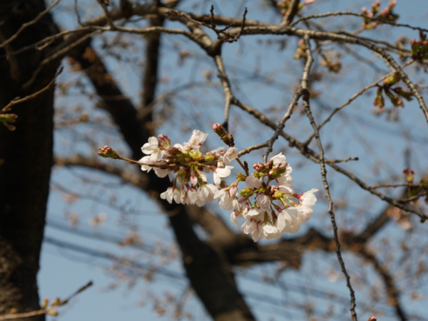 f:id:gzutetsu:20160320143757j:image f:id:gzutetsu:20160320143757j:image