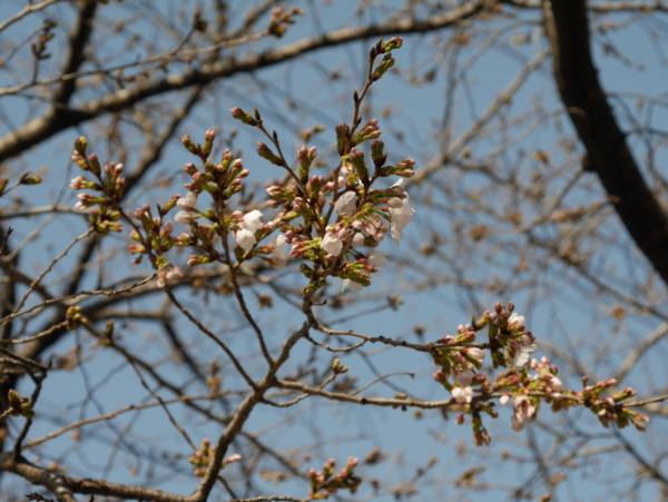f:id:gzutetsu:20160320143946j:image f:id:gzutetsu:20160320143946j:image