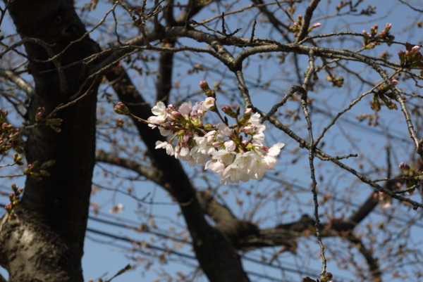 f:id:gzutetsu:20160320144200j:image f:id:gzutetsu:20160320144200j:image