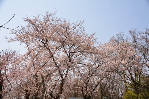 f:id:gzutetsu:20160327112936j:image
