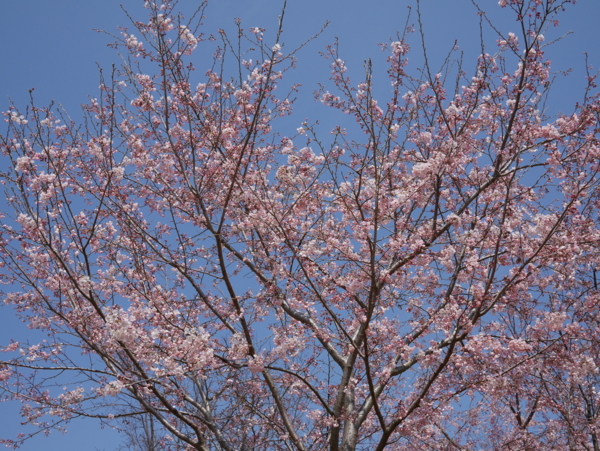 f:id:gzutetsu:20160327113341j:image
