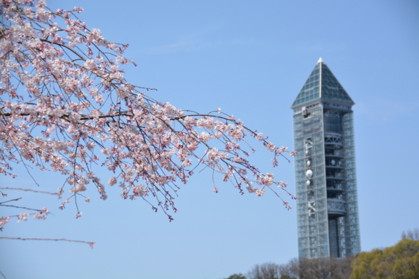 f:id:gzutetsu:20160327120904j:image
