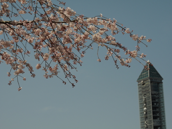 f:id:gzutetsu:20160327121503j:image