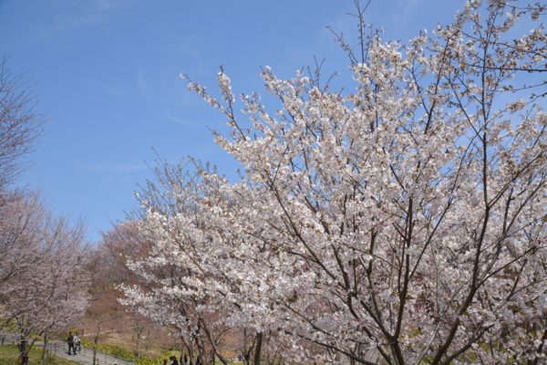 f:id:gzutetsu:20160327123910j:image