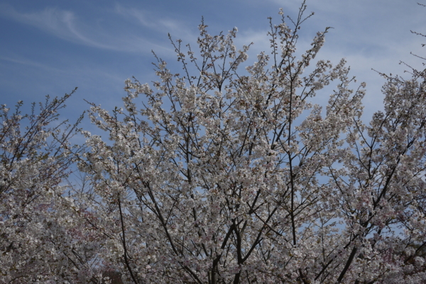 f:id:gzutetsu:20160327124817j:image