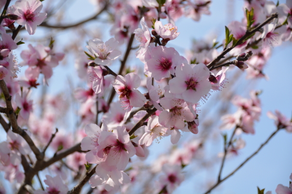 f:id:gzutetsu:20160327125608j:image