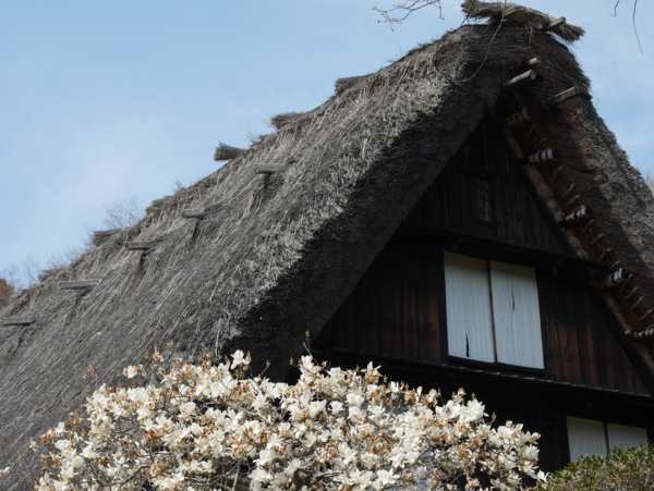 f:id:gzutetsu:20160327131003j:image