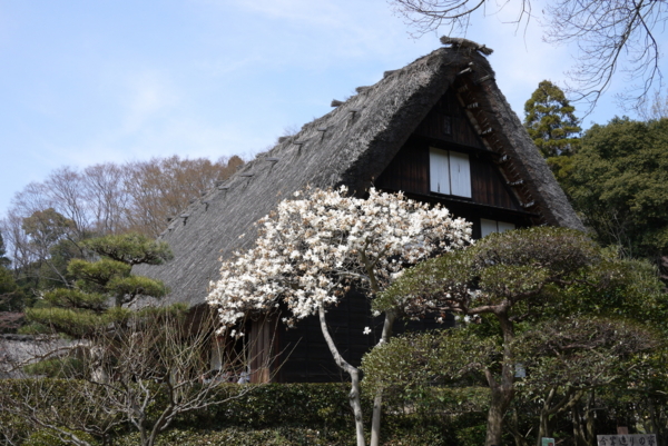 f:id:gzutetsu:20160327131233j:image