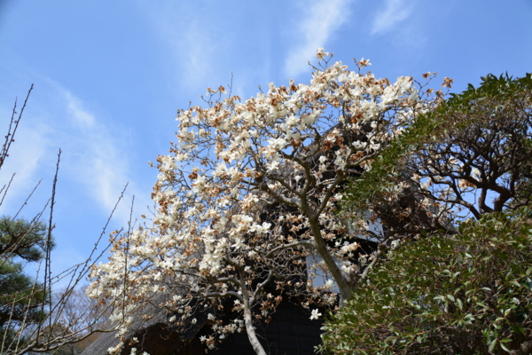 f:id:gzutetsu:20160327131720j:image