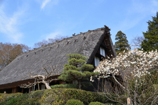 f:id:gzutetsu:20160327131748j:image