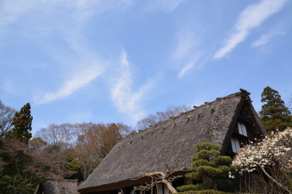 f:id:gzutetsu:20160327131831j:image