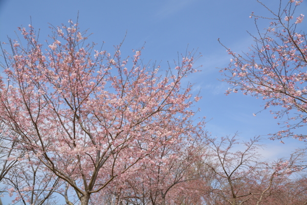 f:id:gzutetsu:20160327134721j:image