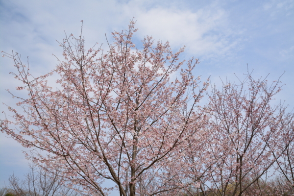 f:id:gzutetsu:20160327135348j:image