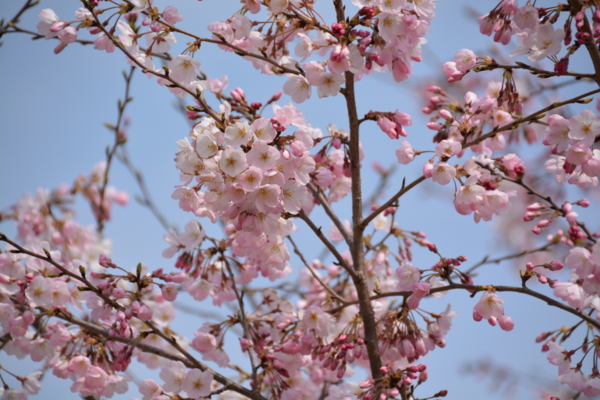 f:id:gzutetsu:20160327135602j:image