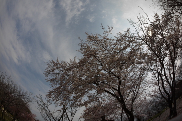f:id:gzutetsu:20160327141452j:image