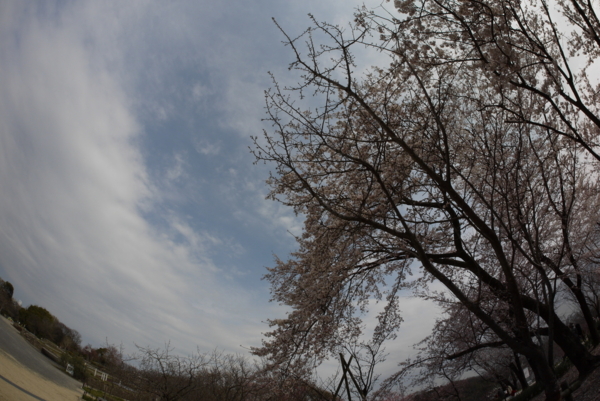 f:id:gzutetsu:20160327141825j:image