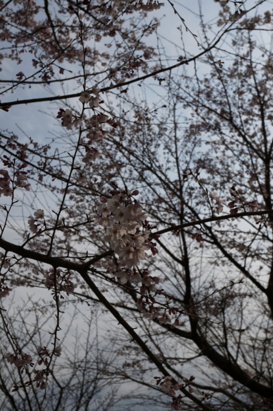 f:id:gzutetsu:20160327141907j:image