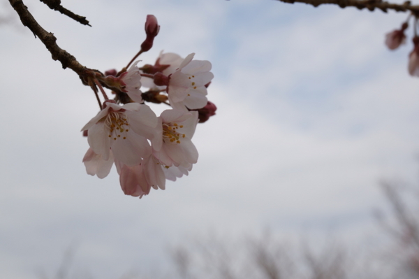 f:id:gzutetsu:20160327141945j:image