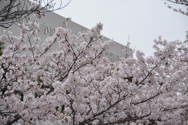 f:id:gzutetsu:20160402120922j:image f:id:gzutetsu:20160402120922j:image