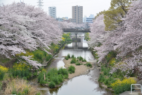 f:id:gzutetsu:20160402121135j:image f:id:gzutetsu:20160402121135j:image