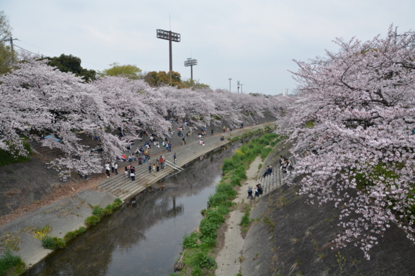 f:id:gzutetsu:20160402121236j:image f:id:gzutetsu:20160402121236j:image