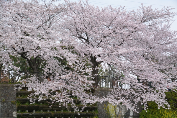 f:id:gzutetsu:20160402125911j:image f:id:gzutetsu:20160402125911j:image