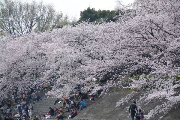 f:id:gzutetsu:20160402130032j:image f:id:gzutetsu:20160402130032j:image