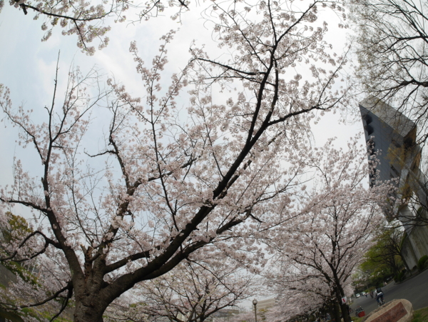 f:id:gzutetsu:20160402132652j:image f:id:gzutetsu:20160402132652j:image