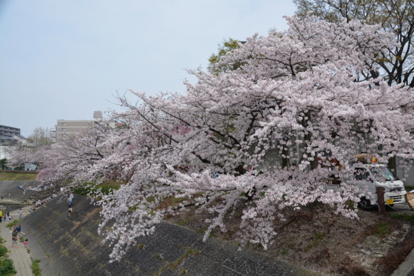 f:id:gzutetsu:20160402134542j:image f:id:gzutetsu:20160402134542j:image