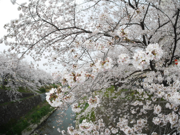 f:id:gzutetsu:20160402134632j:image f:id:gzutetsu:20160402134632j:image