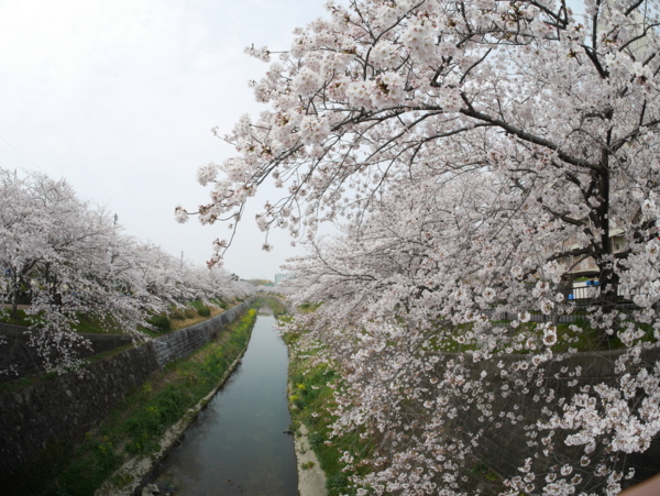 f:id:gzutetsu:20160402134718j:image f:id:gzutetsu:20160402134718j:image