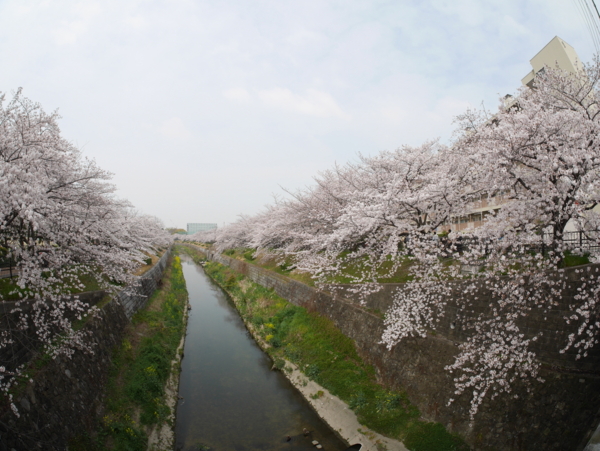 f:id:gzutetsu:20160402134845j:image f:id:gzutetsu:20160402134845j:image