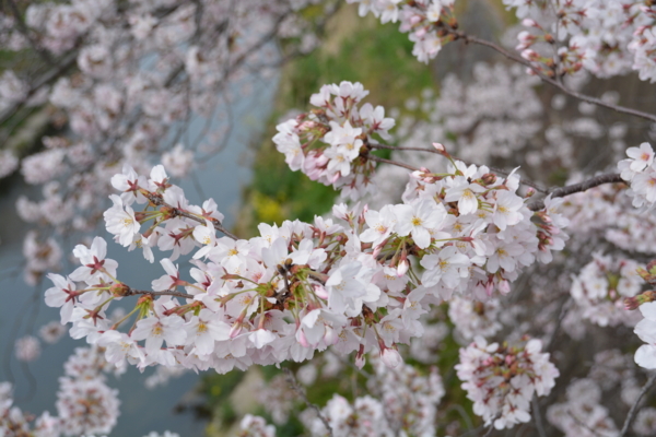 f:id:gzutetsu:20160402135016j:image f:id:gzutetsu:20160402135016j:image