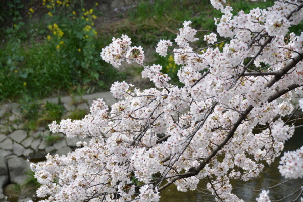 f:id:gzutetsu:20160402135522j:image f:id:gzutetsu:20160402135522j:image