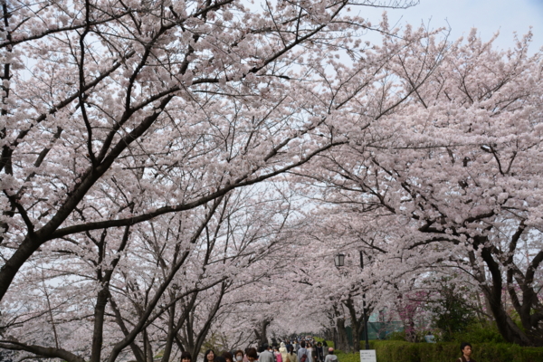 f:id:gzutetsu:20160402135618j:image f:id:gzutetsu:20160402135618j:image