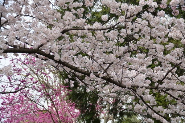 f:id:gzutetsu:20160402135635j:image f:id:gzutetsu:20160402135635j:image