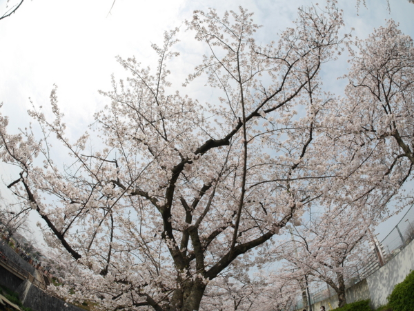 f:id:gzutetsu:20160402135917j:image f:id:gzutetsu:20160402135917j:image