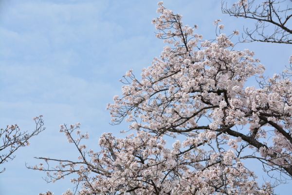 f:id:gzutetsu:20160402140524j:image f:id:gzutetsu:20160402140524j:image