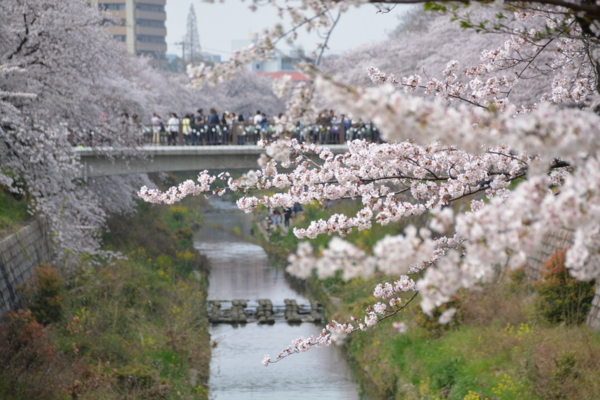 f:id:gzutetsu:20160402141215j:image f:id:gzutetsu:20160402141215j:image